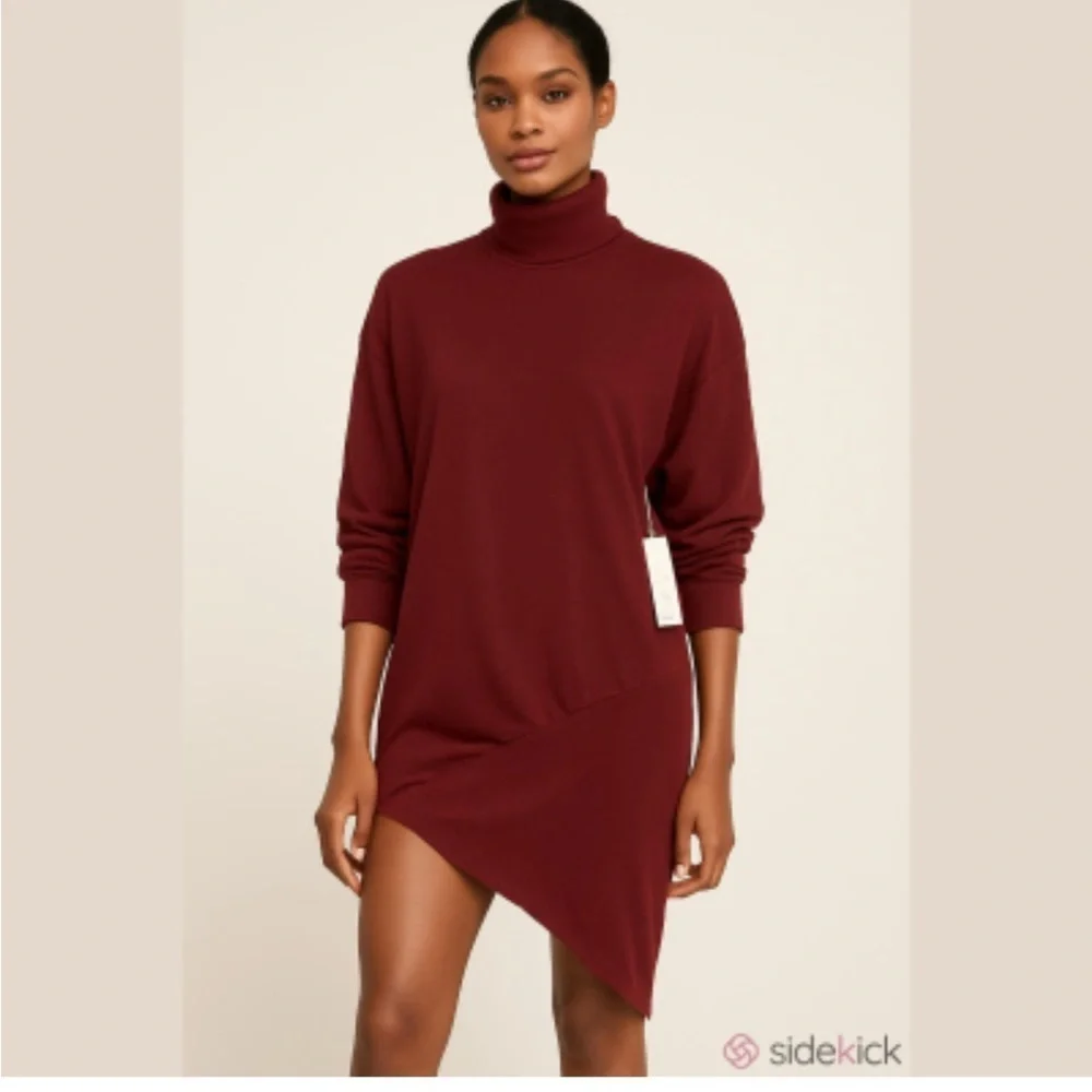Young Fabulous & Broke Maroon Asymmetrical Turtleneck Dress XS NWT $178 - Picture 1 of 6